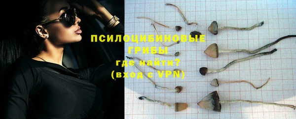 Альфа ПВП Богородск