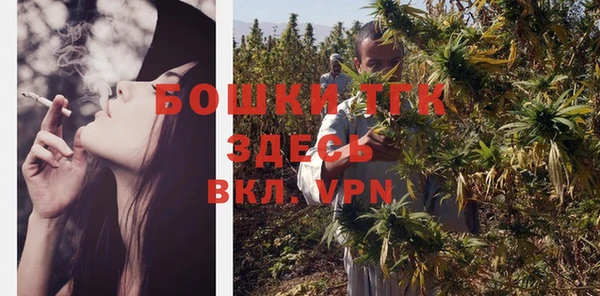 Альфа ПВП Богородск