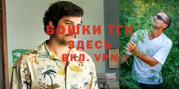 дживик Бородино