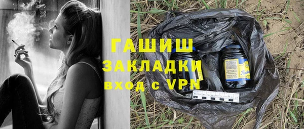дживик Бородино
