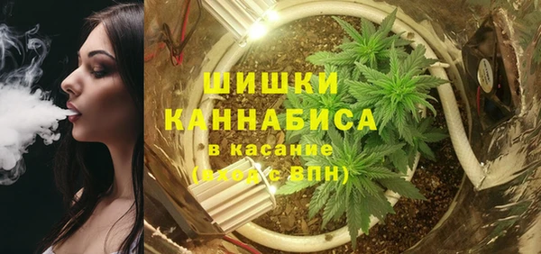 МДПВ Богородицк