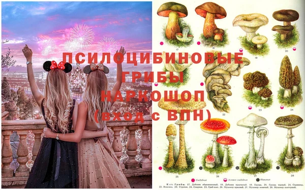 дживик Бородино