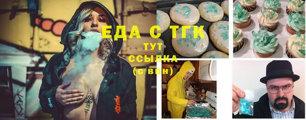 дживик Бородино