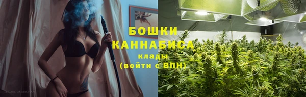 дживик Бородино
