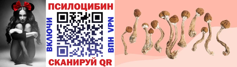 OMG ССЫЛКА  shop как зайти  Псилоцибиновые грибы мухоморы  Гаврилов-Ям 